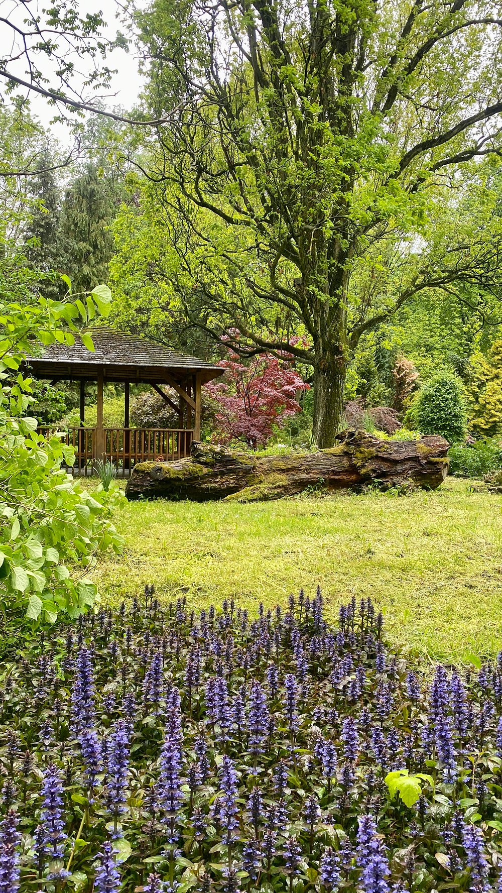 Dendropark gallery image 4